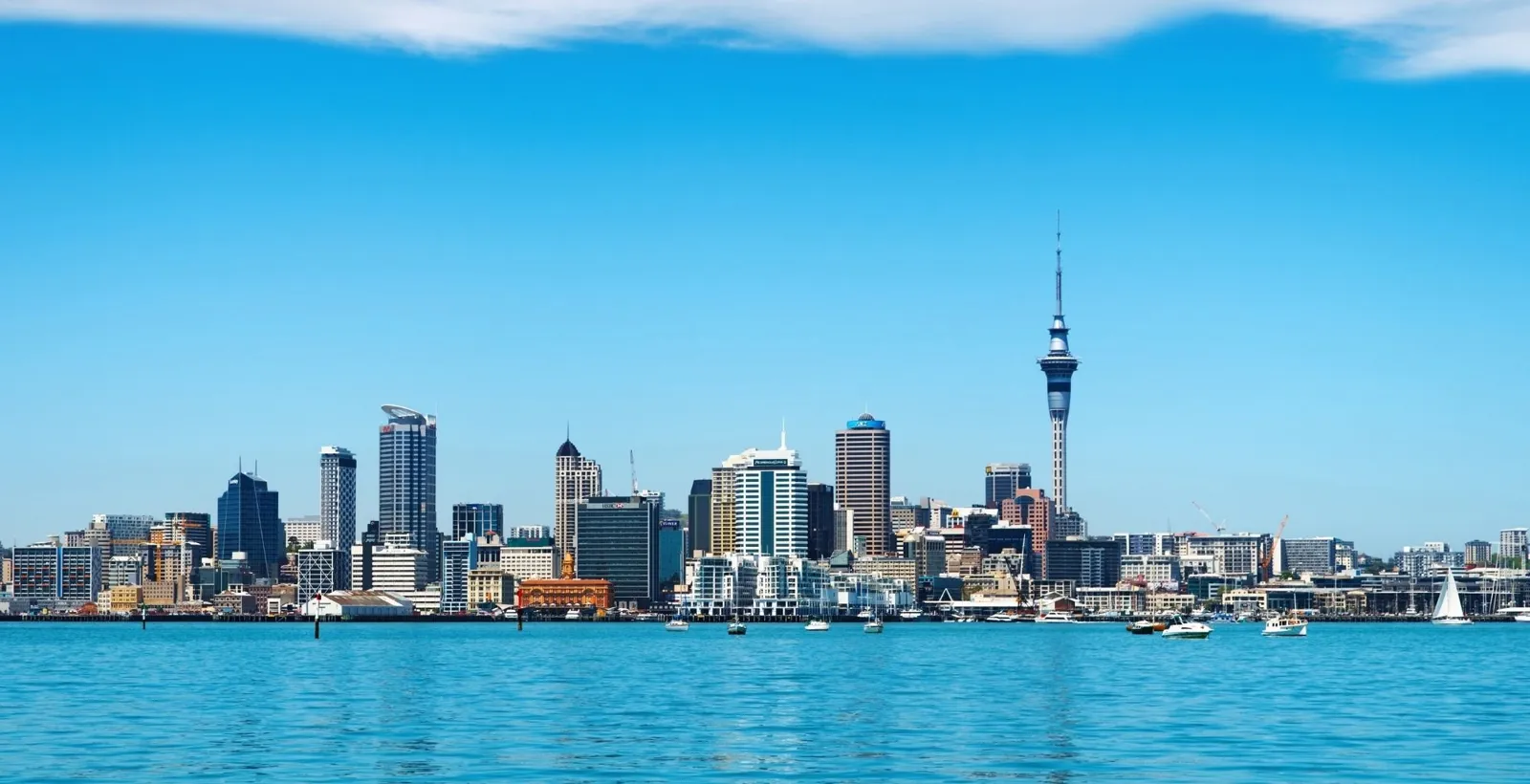 Auckland city skyline and the Sky Tower seen across bright blue harbour water on a clear day