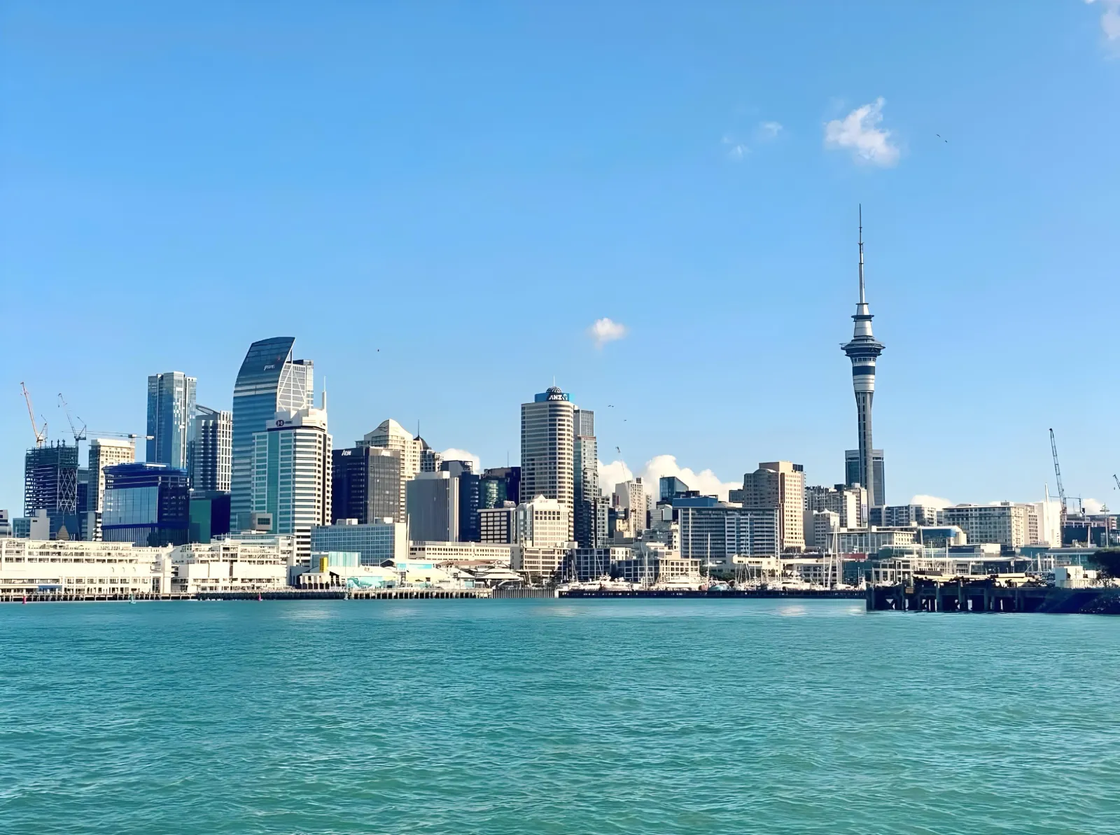 Auckland skyline and Sky Tower seen across turquoise harbour water on a clear day