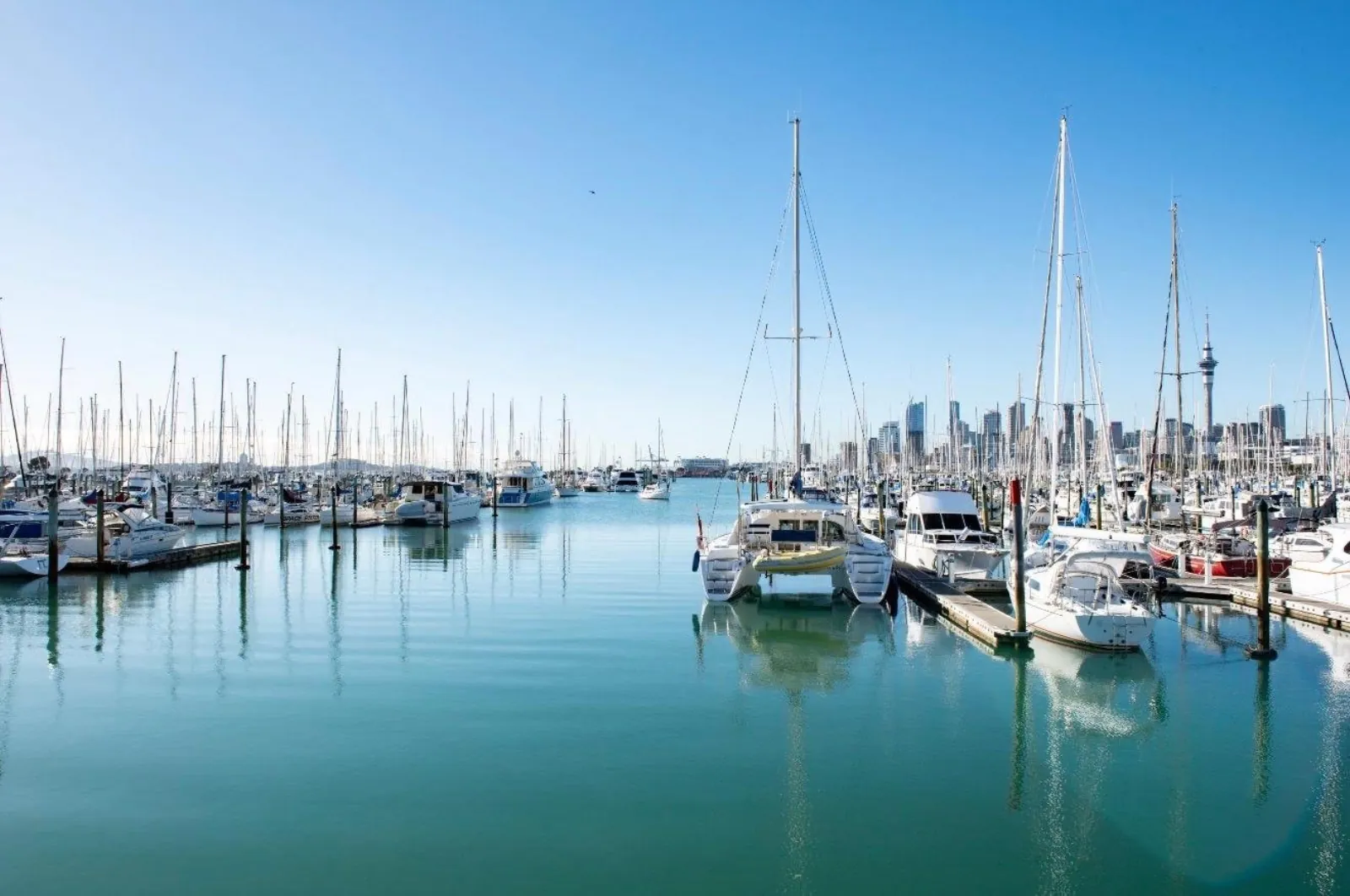 Yachts moored in Westhaven Marina with the city skyline and Sky Tower behind