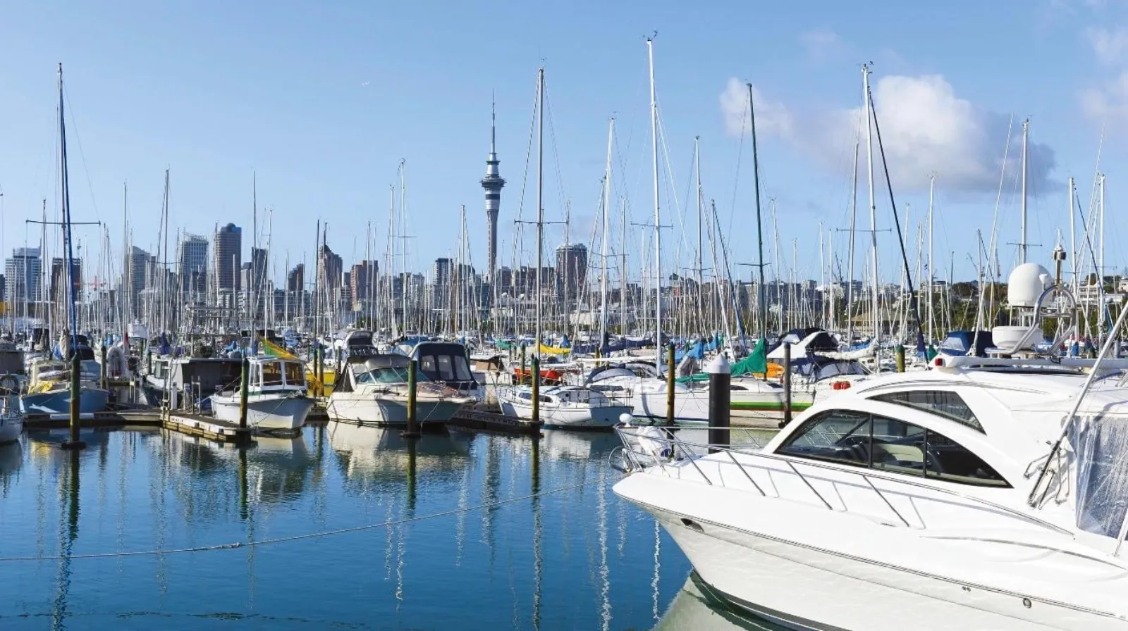 Motor launch and forest of sailing masts in Westhaven Marina below the Sky Tower