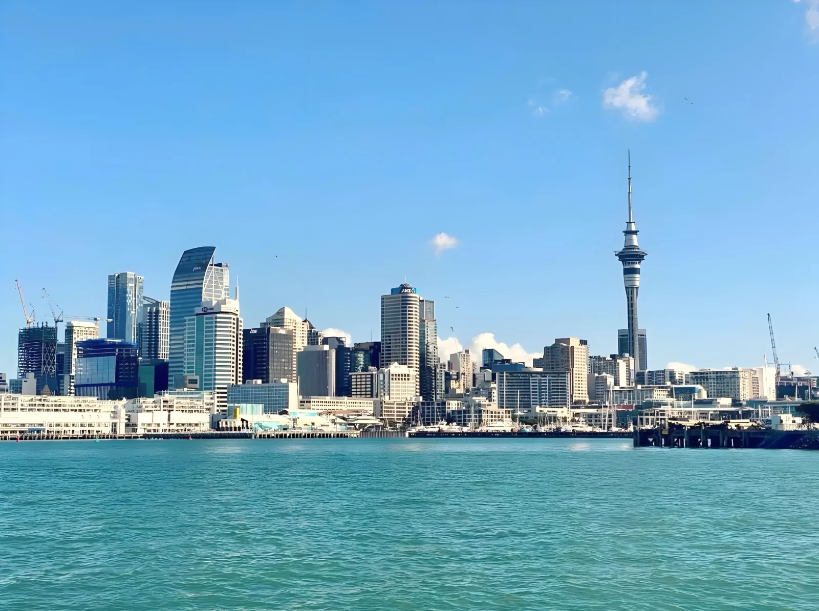 Auckland Harbour Sightseeing Cruise with Live Commentary