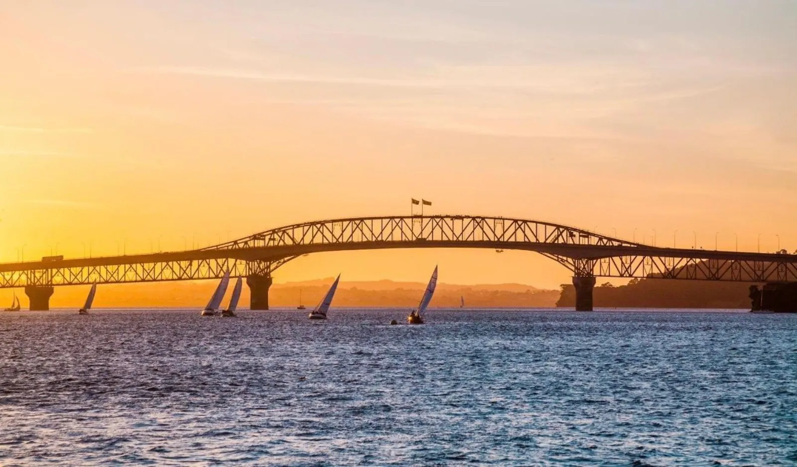 Harbour Bridge silhouetted at golden hour with small sailboats racing beneath it