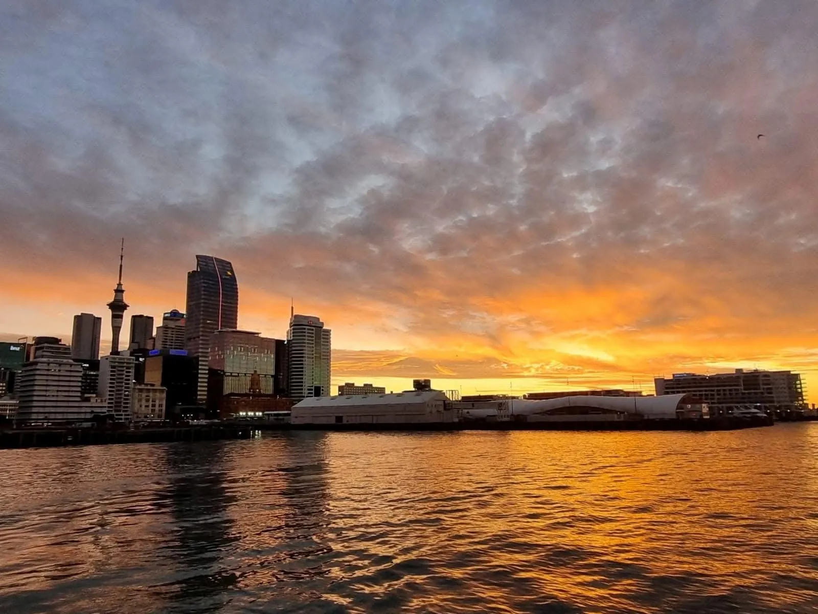 Downtown Auckland waterfront and Sky Tower glowing under a cloudy sunset sky