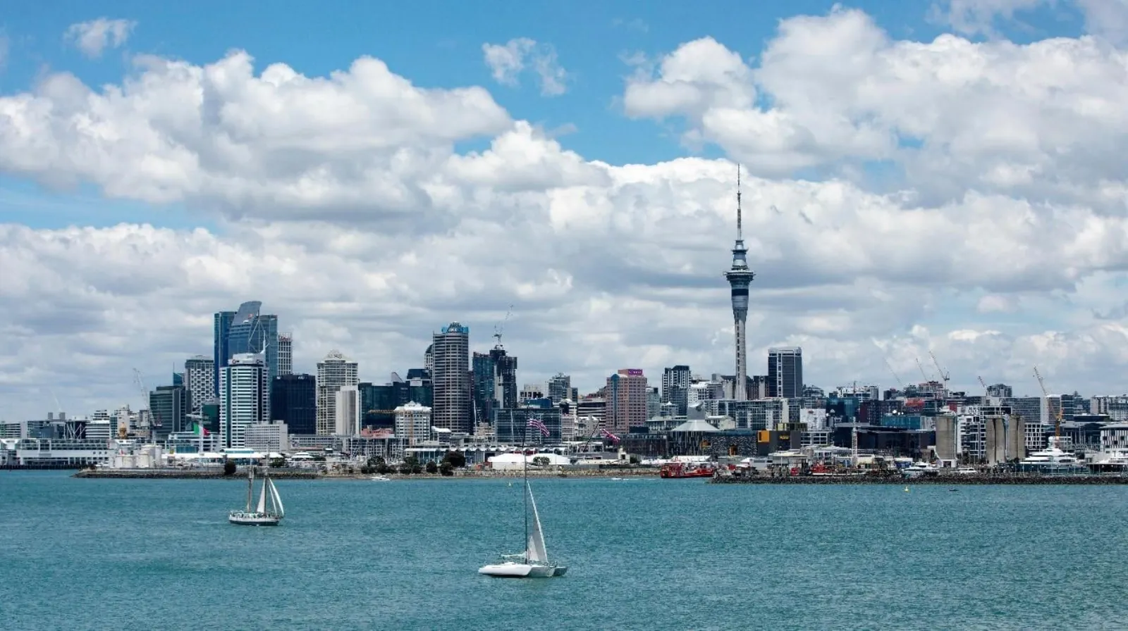 Auckland skyline and Sky Tower behind small yachts sailing on the harbour