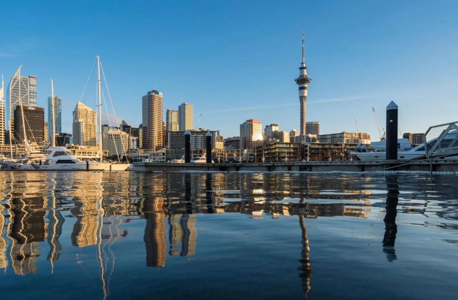 Auckland Harbour Highlights Cruise with Live Commentary