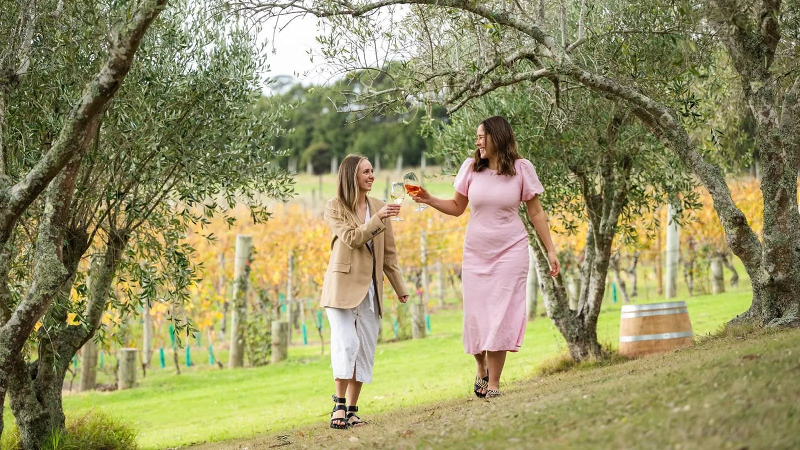 Two women walking with wine glasses between olive trees and vines