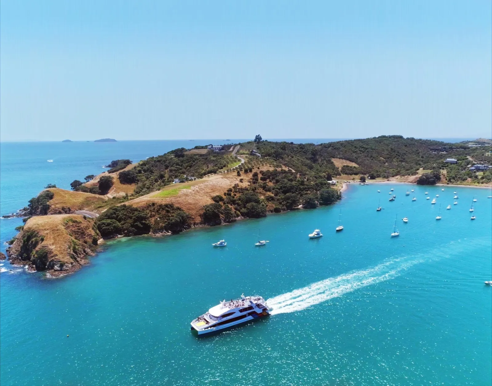 Fast ferry speeding past a green headland toward a Waiheke bay