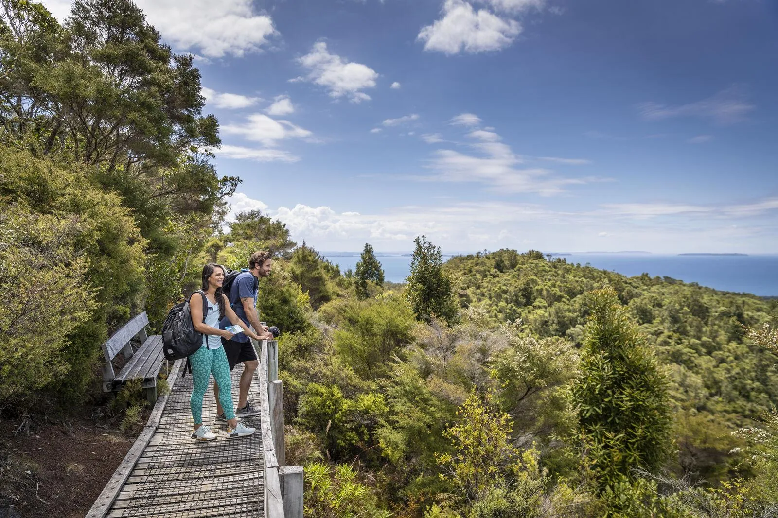 Hikers pausing on a boardwalk through Rangitoto's native bush near the summit