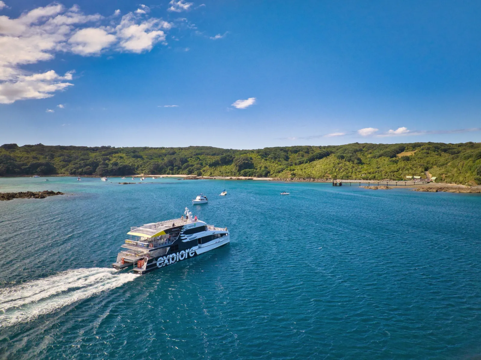 Explore ferry cruising towards the Tiritiri Matangi wharf and bush-covered shore