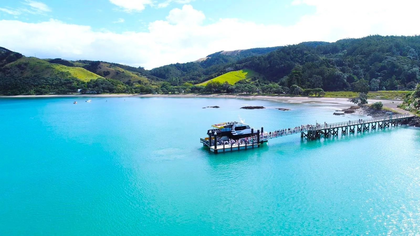 Man O' War Vineyard Ferry to Waiheke Island